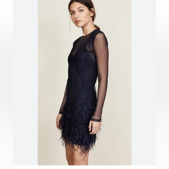 Cinq A Sept Amabella Embroidered Cocktail Dress Ditsy Mesh Feathered Hem size 4 - Picture 6 of 9
